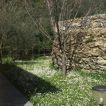 Grazia Vila