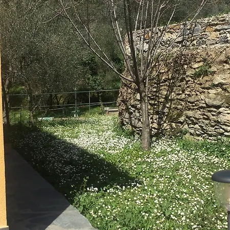 Grazia Testana