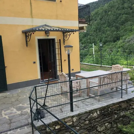 Grazia Vila