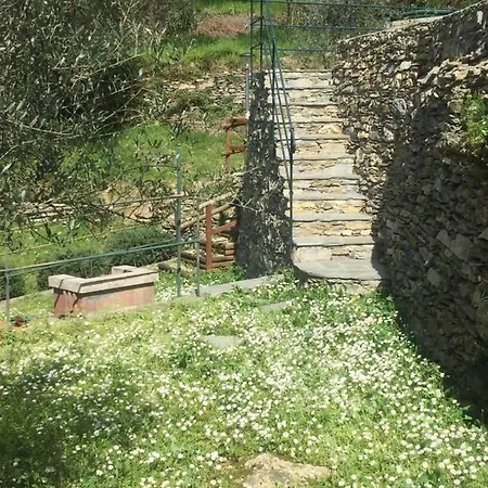 Grazia Testana
