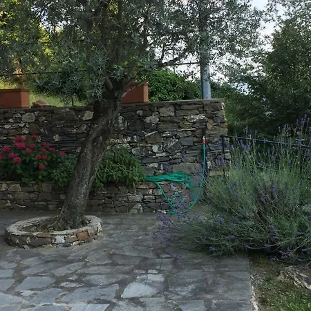 Grazia Villa